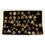 Framed and mounted display of approx fifty British military cap badges including 5th Dragoon Guards,