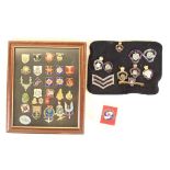 Collection of various military regimental lapel badges, including enamel British Legion badges