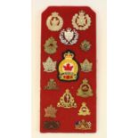 Mounted display of Canadian military cap badges including Saskatoon Light Infantry, R.C.A.P.C,
