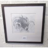 Caroline Riley (British Contemporary); Rams Head, pencil study, signed and dated Aug 2003 in pencil,