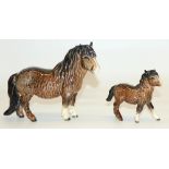 Beswick Shetland pony mare, model 1033, and foal (2)