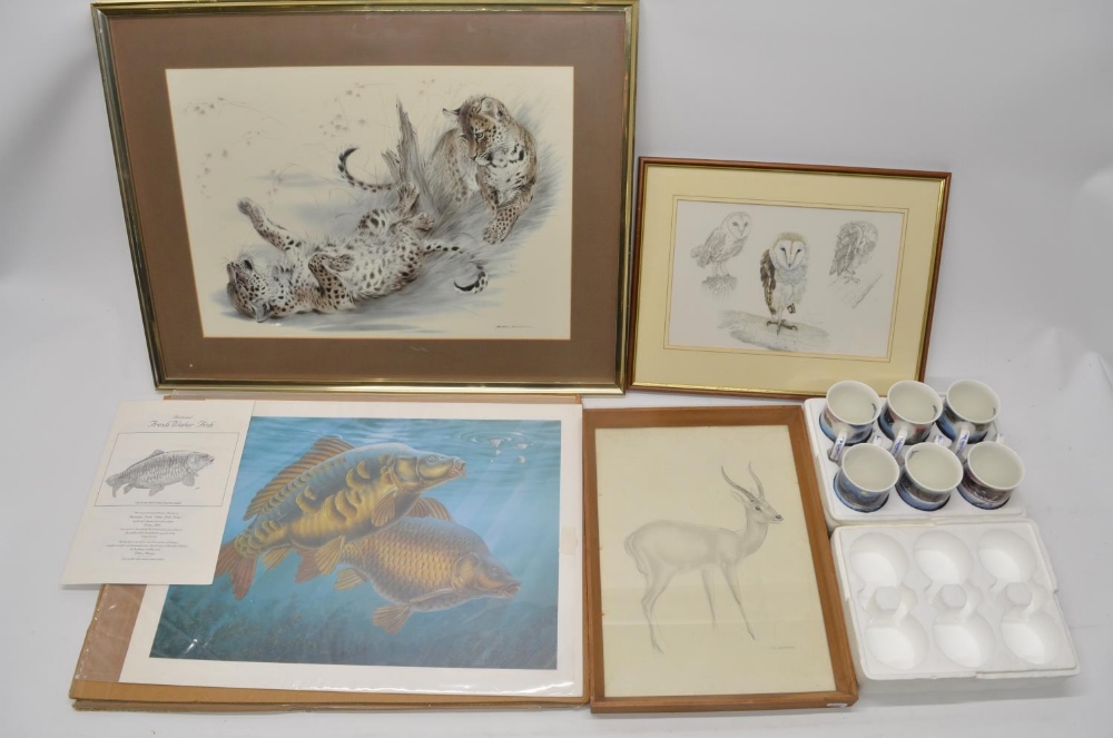 Four animal prints, 3 framed incl. Mirror Carp by Illustrated Fresh Water Fish, "Barn Owl" by Pam