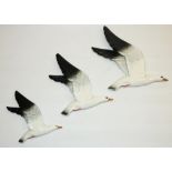 Three Beswick graduated wall hanging seagulls, model Nos. 922-1/2/3, H30cm max (3)