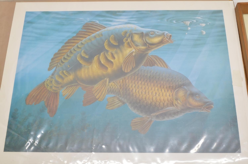 Four animal prints, 3 framed incl. Mirror Carp by Illustrated Fresh Water Fish, "Barn Owl" by Pam - Image 2 of 4