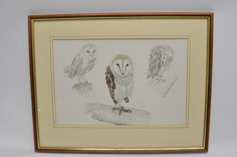 Four animal prints, 3 framed incl. Mirror Carp by Illustrated Fresh Water Fish, "Barn Owl" by Pam - Image 3 of 4