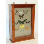 Early 20th century wall mounted mahogany display cabinet with hinged glazed door, containing mounted