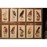 Set of Ogdens 1939 British birds and their eggs (50) (cigarette cards)