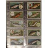 Set of Wills 1910 fish and bait cigarette cards (50), set of Wills 1910 aviation cards (50), Wills