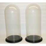 Pair of C20th glass domes on circular ebonised bases, H52cm (2)