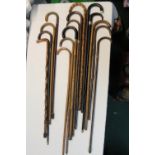 Large collection of fifteen walking sticks of various woods