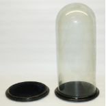 C19th glass dome on circular ebonized base overall H49cm, and a similar base