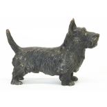Austrian cold painted bronze model of a Scottish Terrier with painted eyes, in the style of Franz