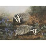 Caroline Manning (British Contemporary); Two Badgers, gouache, signed and dated 1991, 30cm x 39cm