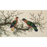 Chinese school (C20th): Pair of Exotic birds on a flowering tree branch, watercolour, 21cm x 33cm