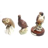 Royal Doulton Peregrine Falcon H.N. 3541 on mahogany base H28cm, Spode Little Owl H22cm, Royal