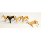 Beswick Whippets Ch. Jovial Roger (5)