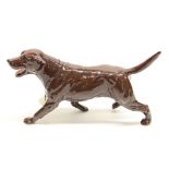 Beswick Labrador, model #3062B, BCC Beswick Collectors Club 1993 limited edition of 93, chocolate