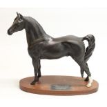 Beswick connoisseur model of a Morgan horse, #2605, on wooden plinth, H28.5cm