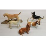 Three Coalport dogs: Dachshund, Basset Hound, Labrador, a Beswick Alsatian, H15cm, and a Royal
