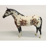 Royal Doulton Appaloosa stallion, H20cm