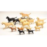 Beswick Labrador figures including Solomon of Wendover, and Beswick golden retrievers (15)