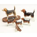 Beswick Beagles inc. Champion Wendover Billy matte and gloss, Beagle pups etc (6)