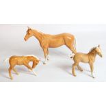 Beswick Palomino Bois Roussel racehorse and two Palomino foals