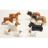 Beswick St. Bernard model 2221 (2), Boxer model 1202 (2), Jack Russell Terriers (4) and a Black