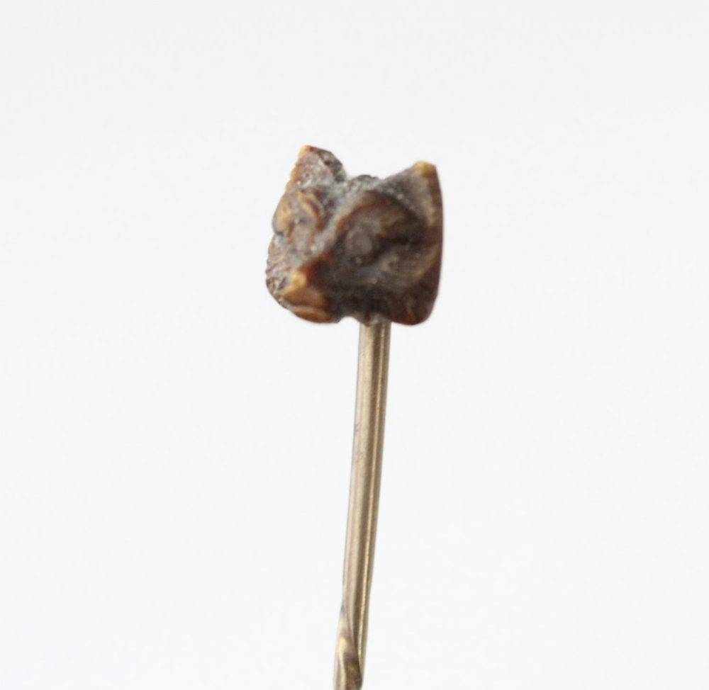 Late 19th/early C20th stick pins incl. carved tigers eye terrier head, turquoise and split seed - Image 2 of 3