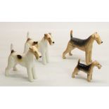 Beswick Wire Fox Terrier Ch. Talavera Romulus (2), Ch. Cast Iron Monarch and small Fox Terrier