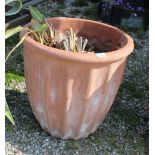 Single terracotta planter with Lily, approx W49cm H47cm