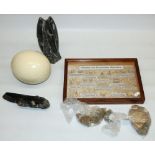 Collection of fossils and minerals including a cased set 'Fossiles Des Phosphates Marocains',