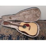 Martin & Co DXM Dreadnought 6 string acoustic guitar, in a Hiscox Liteflite travel case