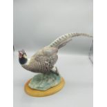 Border Fine Arts figure A0659 Pheasant by Russell Willis