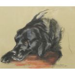 Truda Panet (American C20th); 'Timmy' head of a reclining black Labrador, pastel, signed, titled and