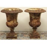 Pair of cast metal part lobed garden urns on square bases, W35cm H45cm (2)