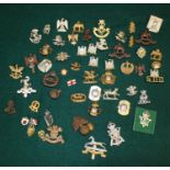 Large collection of military metal badges of various regiments. Prince of Wales own Regiment of