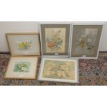 W. Bradshaw (British early C20th): Still life studies of Wild Flowers and fruit, five