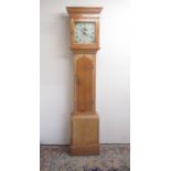 J Box, Launceston - C19th 30 hour pine long case clock, signed 11" painted dial with date