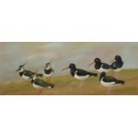 Ralston Gudgeon RSW (Scottish 1910-1984); Plovers and Oyster Catchers, watercolour and gouache,