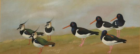 Ralston Gudgeon RSW (Scottish 1910-1984); Plovers and Oyster Catchers, watercolour and gouache,