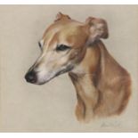 English School (C20th); Portrait of a lurcher, head and neck, watercolour heightened with white,