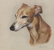 English School (C20th); Portrait of a lurcher, head and neck, watercolour heightened with white,