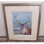 Chris Adams (British Contemporary): 'Highland Stag' ltd.ed colour print, numbered 95/300, titled and