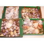 Large collection of carved souvenir cowrie shells and other shells (4 boxes)