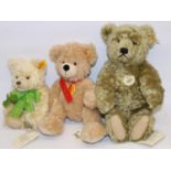 Three Steiff teddy bears: 1920 replica Classic, Good Luck bear with green ribbon, and one other,
