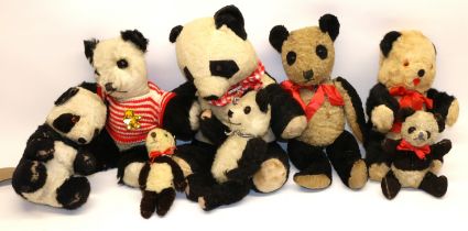 Collection of c.1940s-1960's British Panda teddy bears