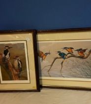 Pair of prints by Robert Fuller. "Kingfishers with catch" 150/850 signed by artist 64inch x