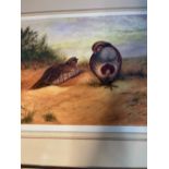 Large print by T. Hutchinson 2003, pair of English Partridge on Heath 3/50 signed by artist 71cm x