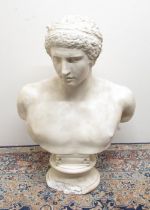 C20th plaster head and shoulder bust of Hercules, on socle base, H82cm,